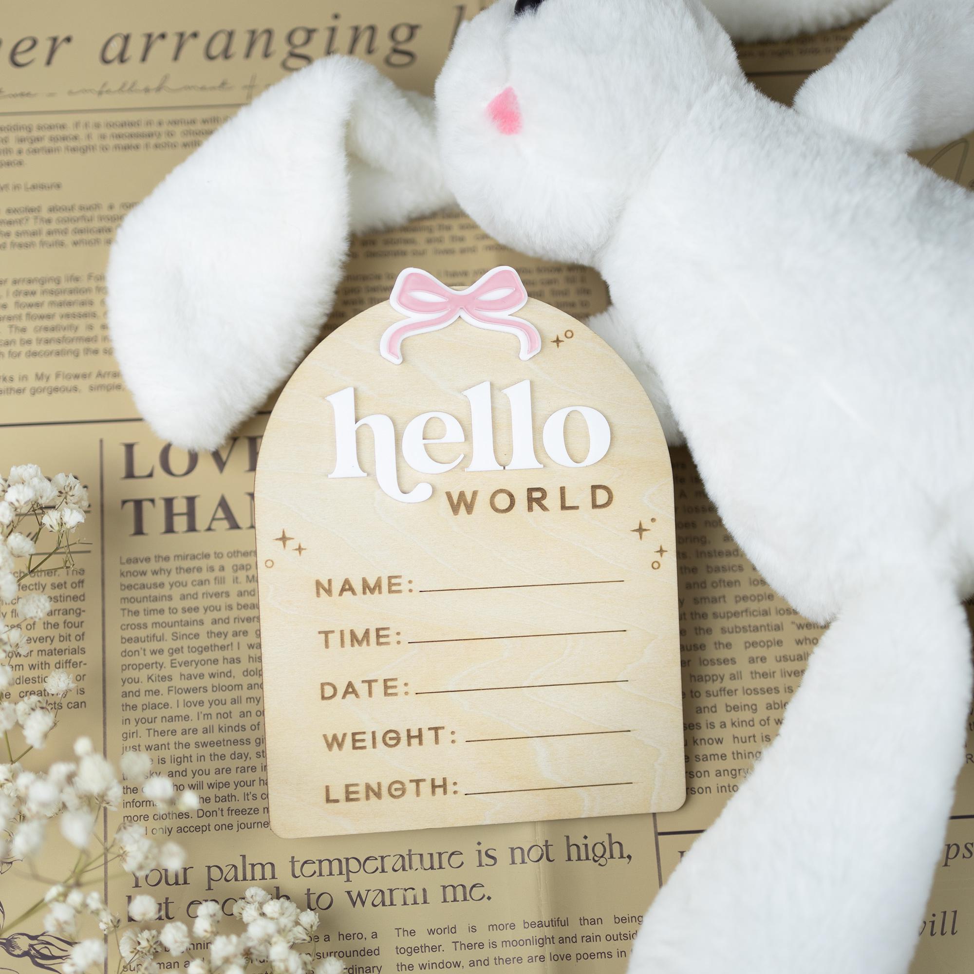 Birth Stats Sign Girl, Hello World Sign, Baby Birth Announcement Sign, Baby Shower Gift, Boho Baby Announcement, Birth Detail Sign With Bow