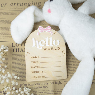 Birth Stats Sign Girl, Hello World Sign, Baby Birth Announcement Sign, Baby Shower Gift, Boho Baby Announcement, Birth Detail Sign With Bow