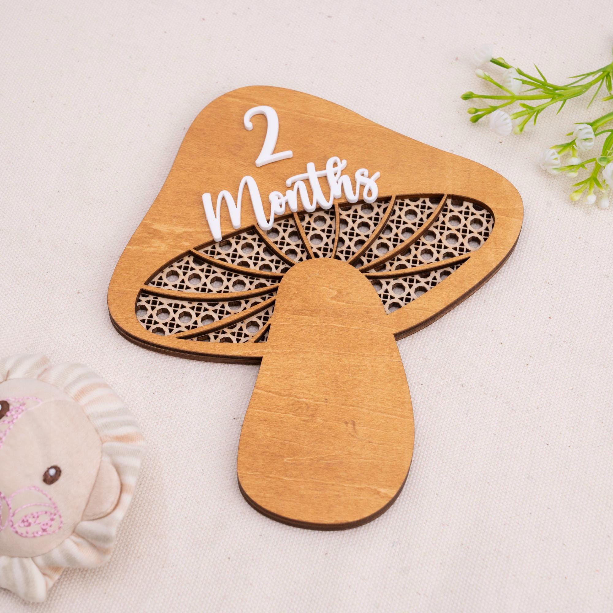 Mushroom Milestone Cards, Baby Milestone Set, Boho Newborn Photo Prop, Milestone Discs Baby,Milestone Photo Sign,Baby Keepsake,Nursery Decor