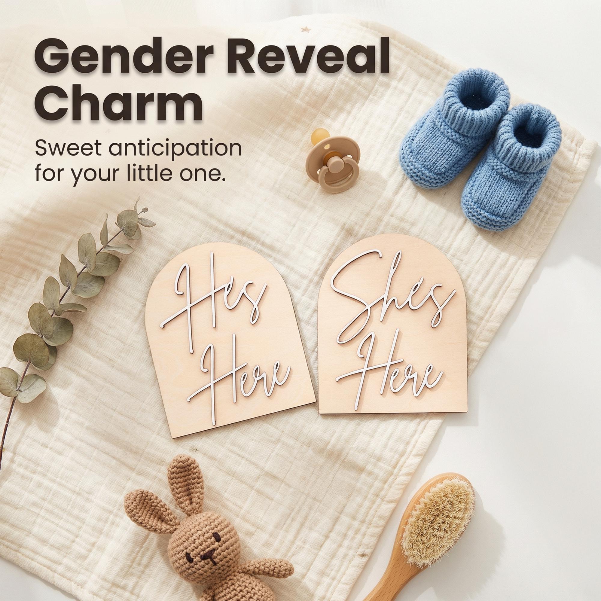 Gender Reveal Sign Wooden Gender Reveal Prop He or She Sign Baby Gender Reveal Photo Prop Surprise Baby Reveal Sign Baby Shower Decor