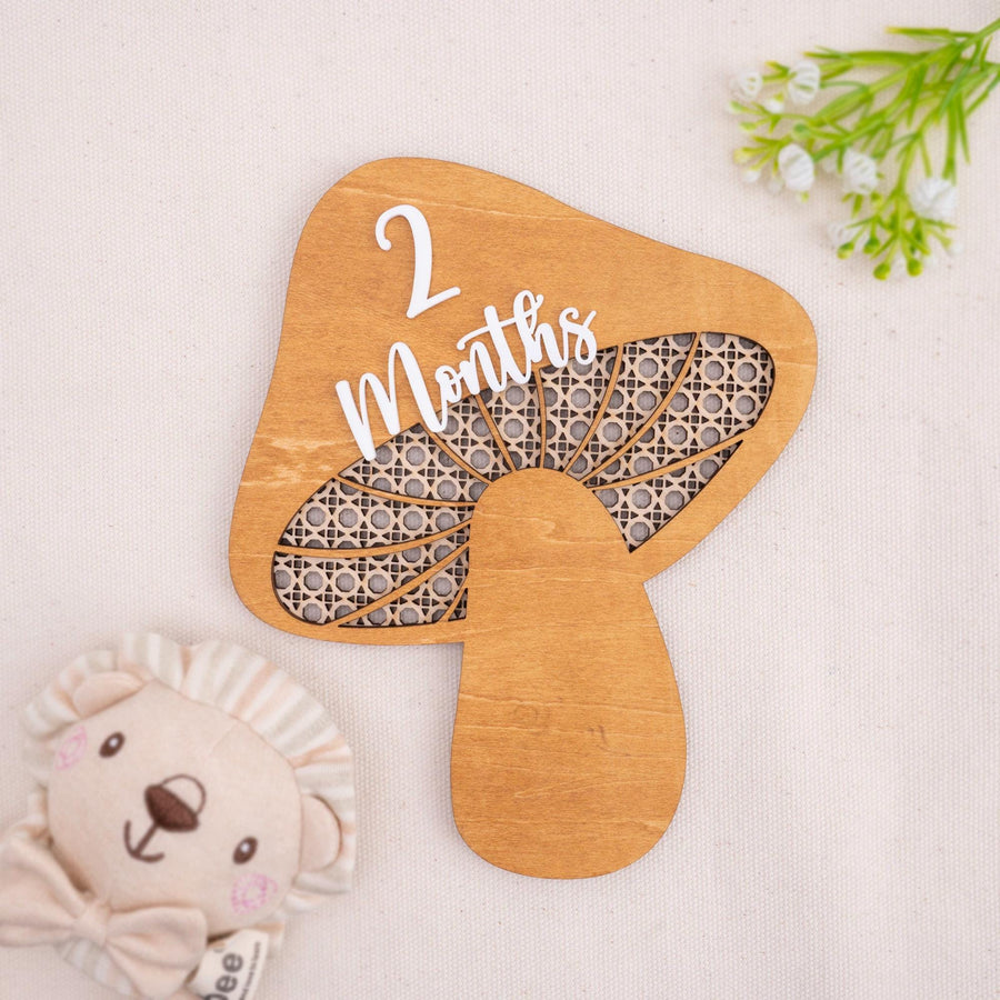 Mushroom Milestone Cards, Baby Milestone Set, Boho Newborn Photo Prop, Milestone Discs Baby,Milestone Photo Sign,Baby Keepsake,Nursery Decor