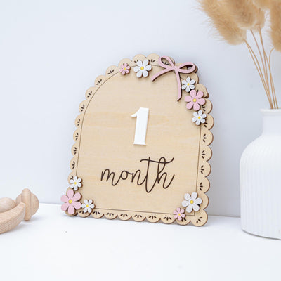 3D Baby Milestone Set Acrylic, Monthly Milestone Marker Wood, Baby's First Milestones, Boho Baby Milestone,Milestone Disc Baby,Nursery Decor
