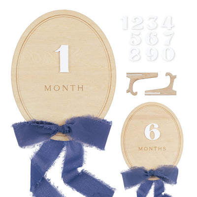 Ribbon Bow Interchangeable Milestone Set, Newborn Photo Prop, Baby Monthly Milestone Marker, Baby Shower Gift, Boho Baby Milestone, Nursery