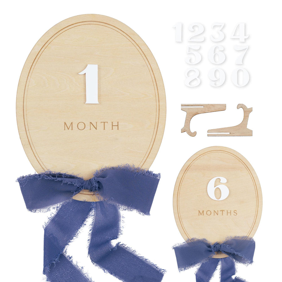Ribbon Bow Interchangeable Milestone Set, Newborn Photo Prop, Baby Monthly Milestone Marker, Baby Shower Gift, Boho Baby Milestone, Nursery