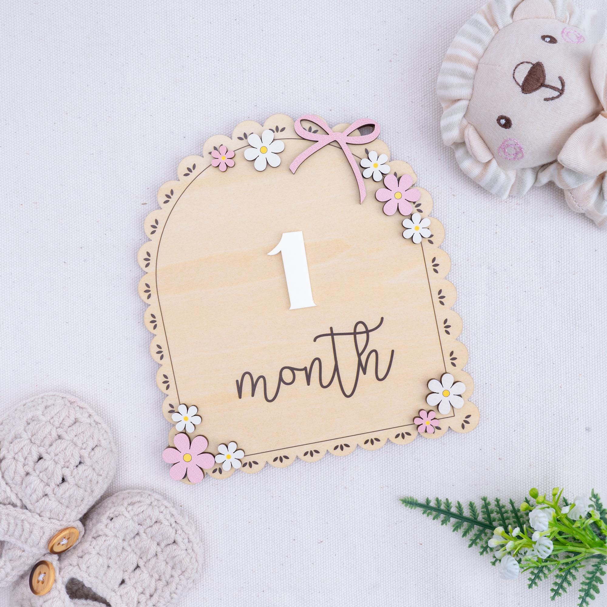 3D Baby Milestone Set Acrylic, Monthly Milestone Marker Wood, Baby's First Milestones, Boho Baby Milestone,Milestone Disc Baby,Nursery Decor