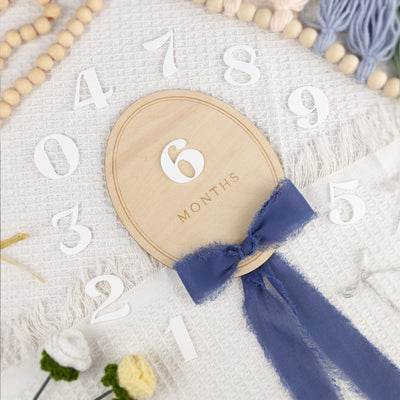 Ribbon Bow Interchangeable Milestone Set, Newborn Photo Prop, Baby Monthly Milestone Marker, Baby Shower Gift, Boho Baby Milestone, Nursery