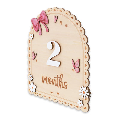Baby Month Sign Double Sided Month Months Baby Milestone Sign First Year Baby Photo Prop Monthly Milestone Baby Nursery Decor