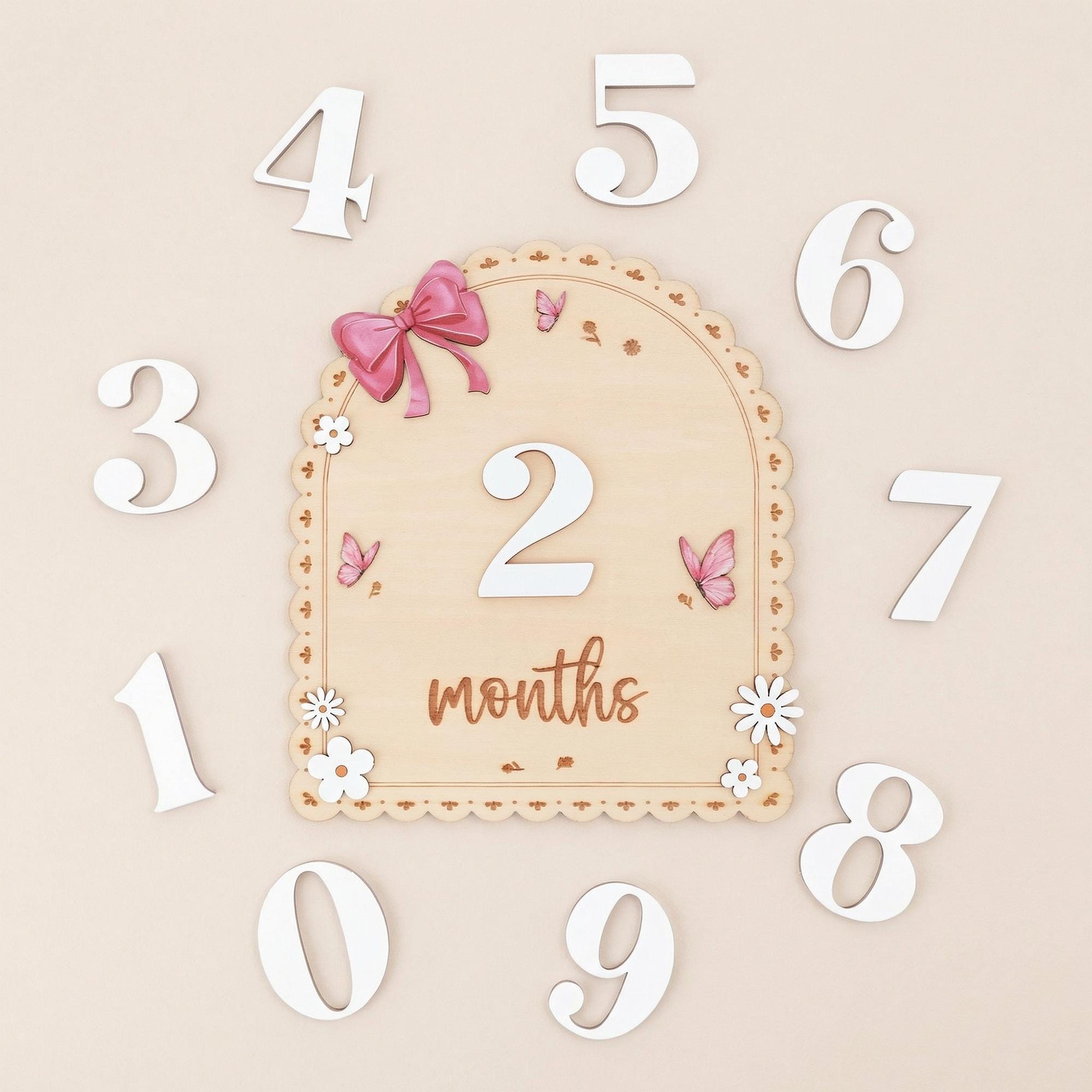 Baby Month Sign Double Sided Month Months Baby Milestone Sign First Year Baby Photo Prop Monthly Milestone Baby Nursery Decor