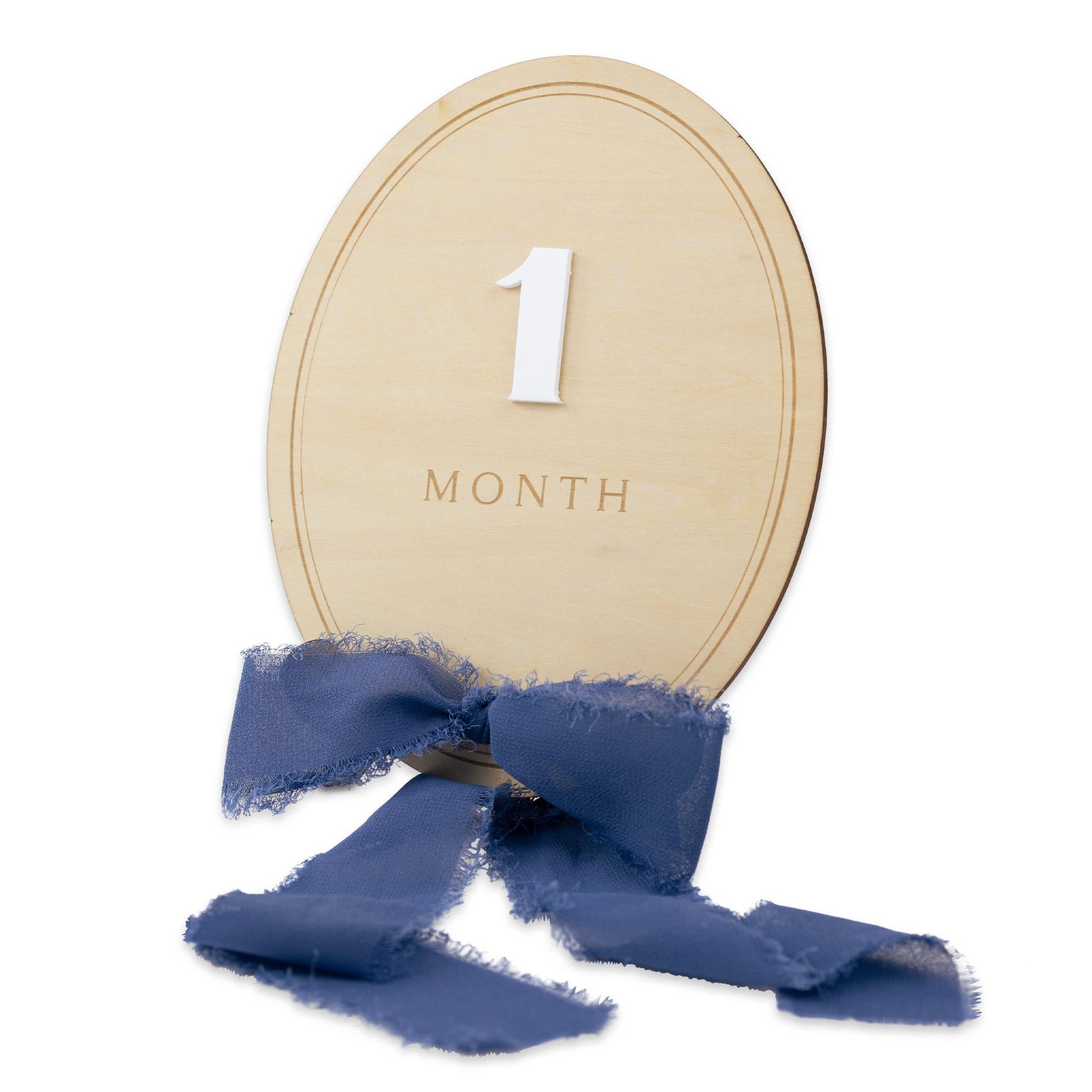 Ribbon Bow Interchangeable Milestone Set, Newborn Photo Prop, Baby Monthly Milestone Marker, Baby Shower Gift, Boho Baby Milestone, Nursery