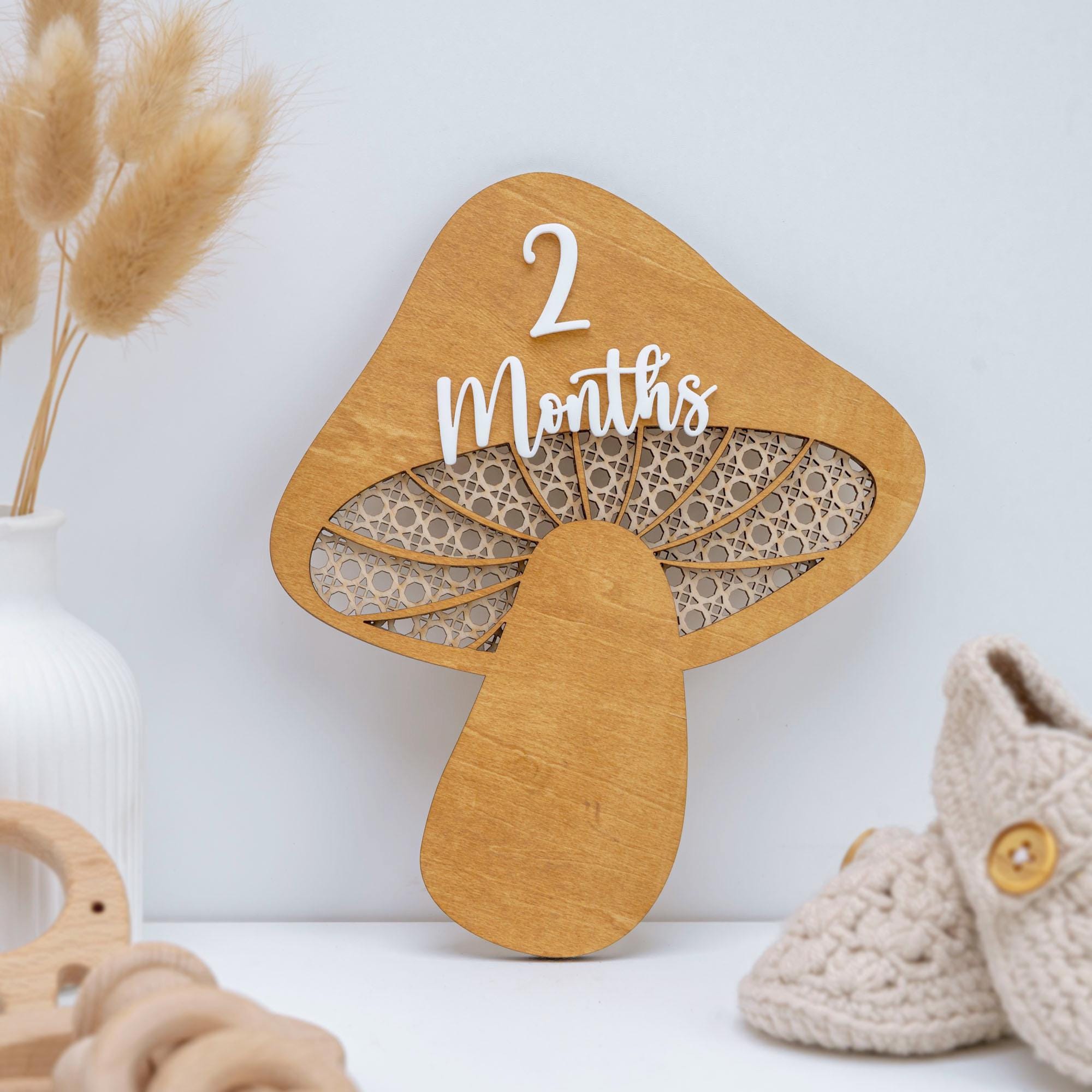 Mushroom Milestone Cards, Baby Milestone Set, Boho Newborn Photo Prop, Milestone Discs Baby,Milestone Photo Sign,Baby Keepsake,Nursery Decor