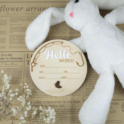 Baby Birth Stat Sign, Baby Name With Birth Stats, Baby Name Reveal, Personalized Baby Announcement Sign, Sign For Hospital, Hello World Sign