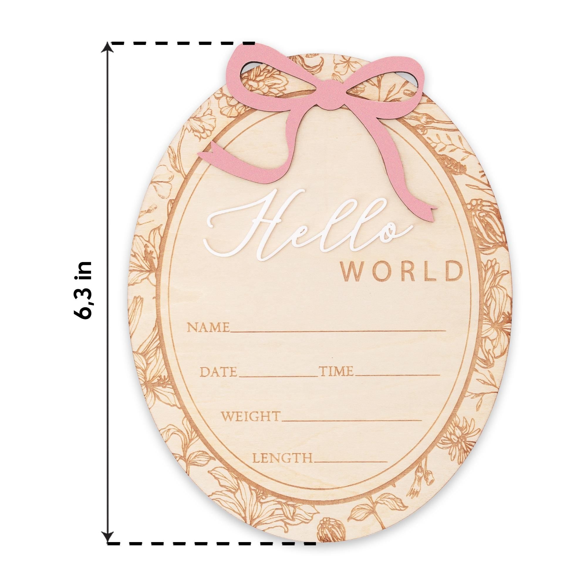 Hello World Baby Announcement Sign Personalized Birth Stats Sign Newborn Hospital Photo Prop Baby Girl Announcement Gift