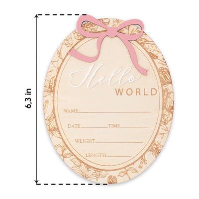 Hello World Baby Announcement Sign Personalized Birth Stats Sign Newborn Hospital Photo Prop Baby Girl Announcement Gift