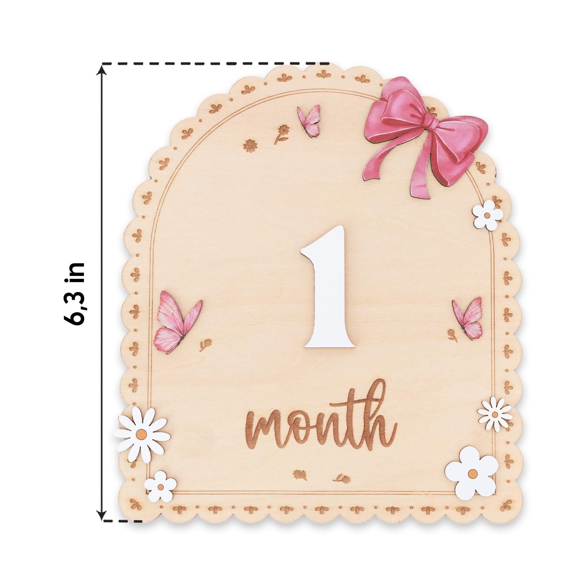 Baby Month Sign Double Sided Month Months Baby Milestone Sign First Year Baby Photo Prop Monthly Milestone Baby Nursery Decor
